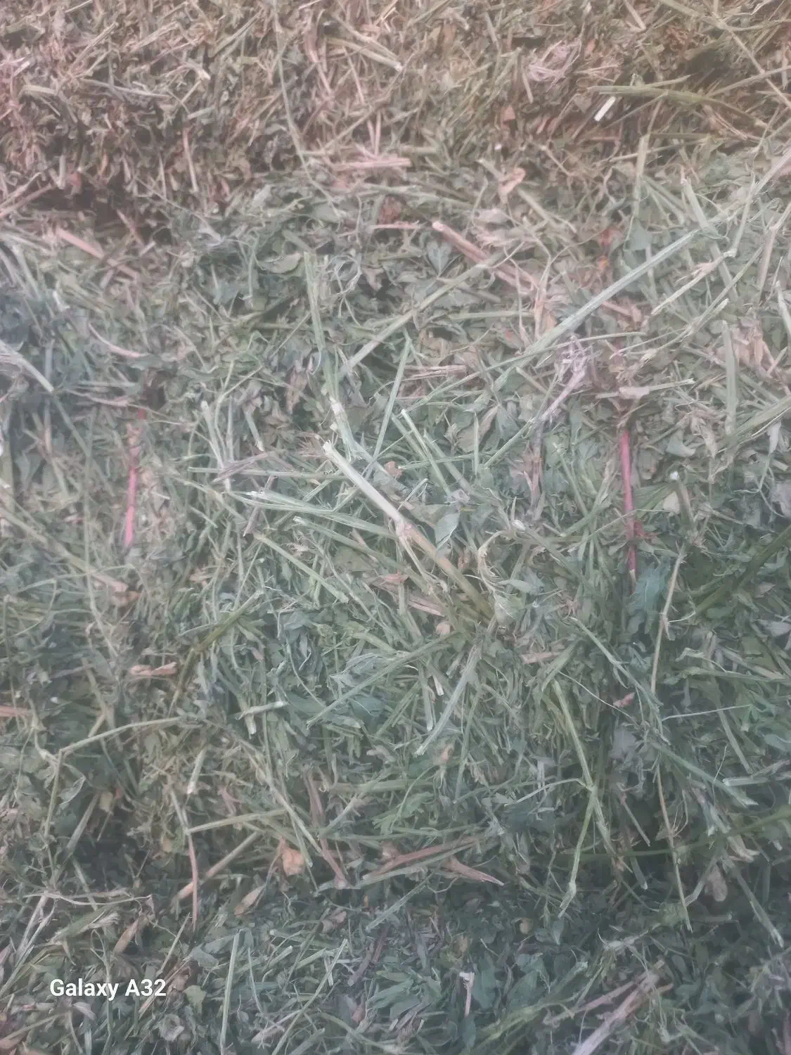 یونجه خشک|عمده‌فروشی|نظر کهریزی, |دیوار