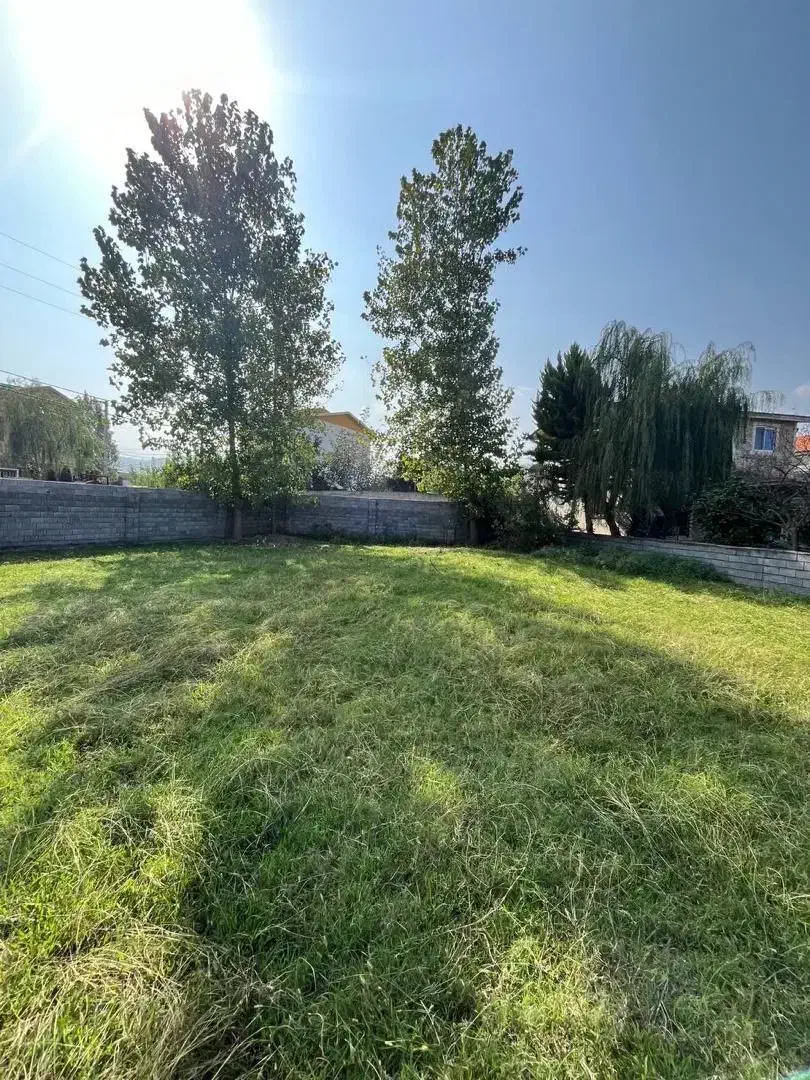 ۲۵۰ متر زمین شهرکی/ تاپ لوکیشن/ کوهپایه جنگلی|فروش زمین و ملک کلنگی|چمستان, |دیوار