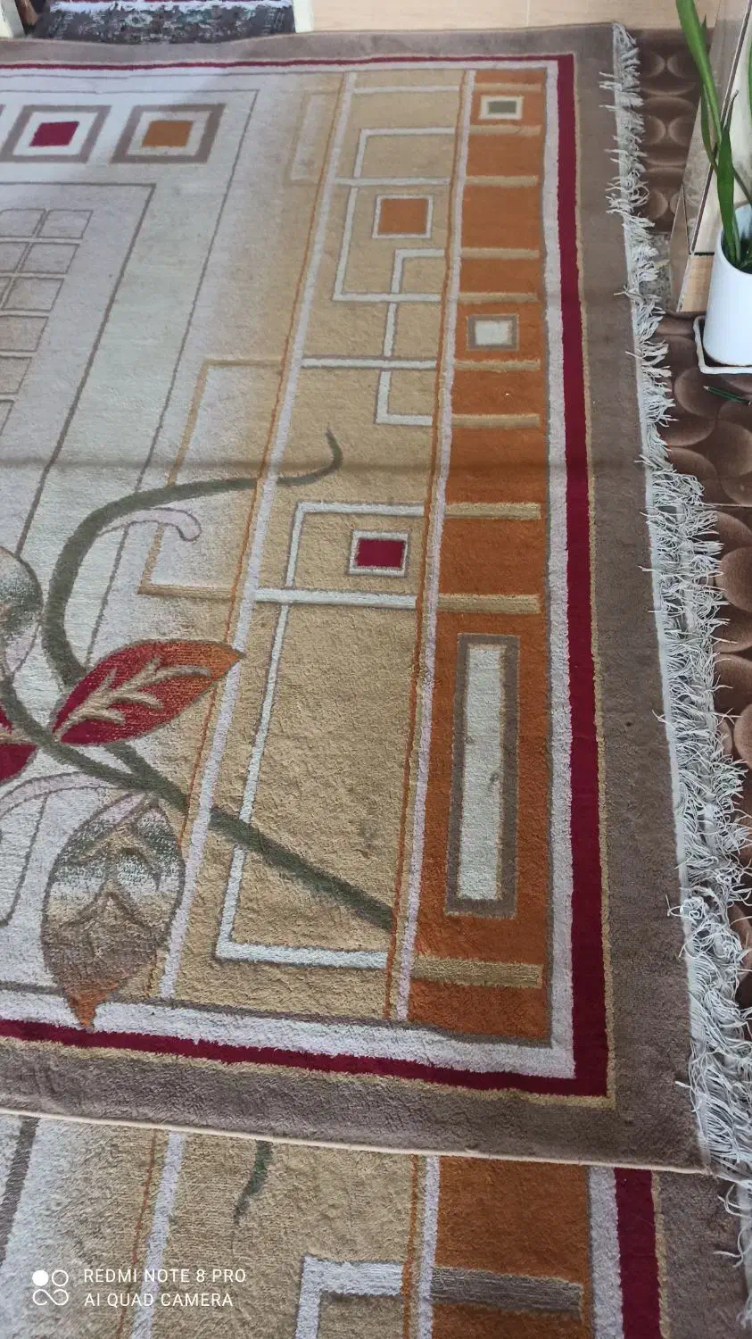 دو تخته گلیم فرش 12متری|گلیم، جاجیم، گبه|دزفول, |دیوار