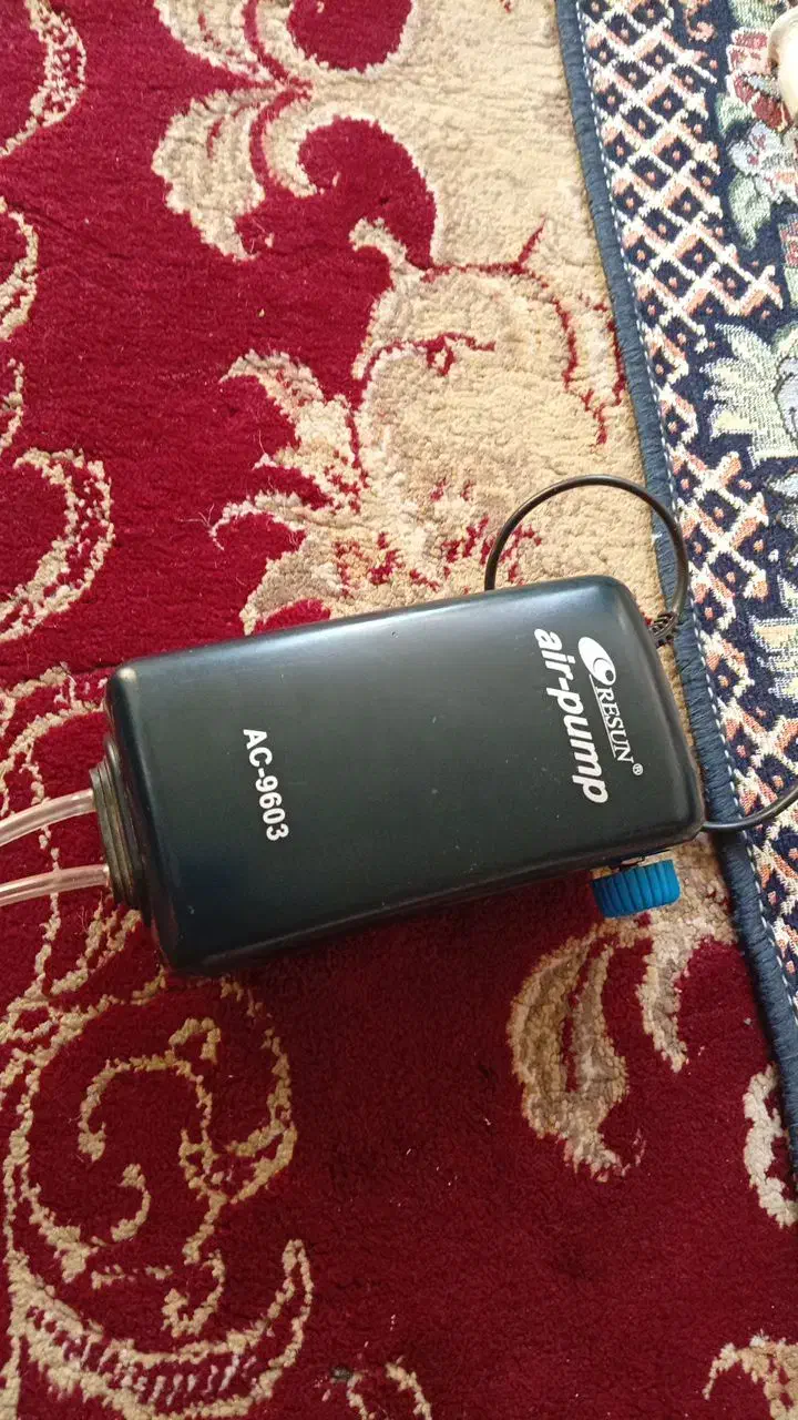 پمپ اکسیژن اکواریوم|ماهی|قرق, |دیوار