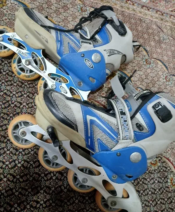 کفش اسکیت|دوچرخه، اسکیت، اسکوتر|اردبیل, |دیوار