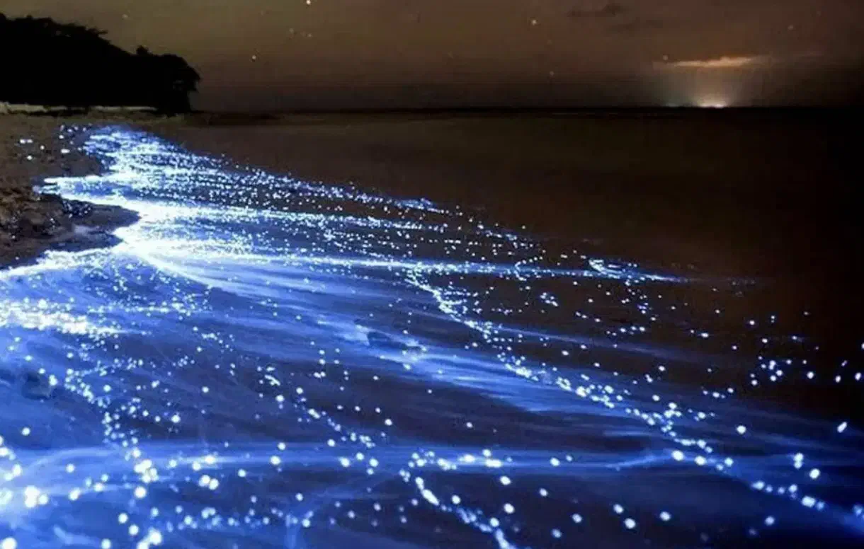 تور گروهی قشم|تور و چارتر|تهران, جردن|دیوار