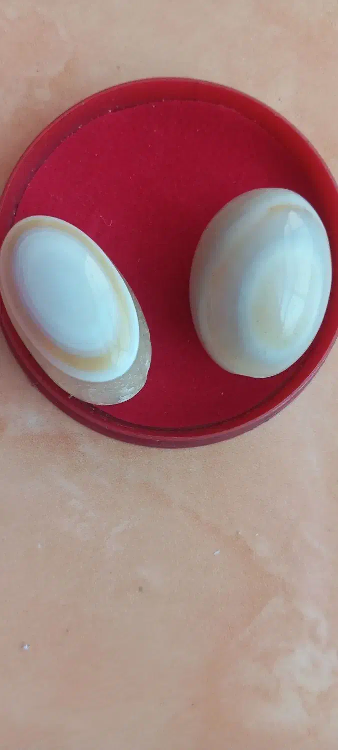 مهره برد|جواهرات|یاسوج, |دیوار