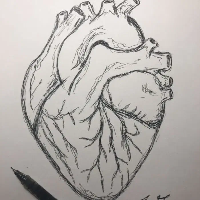 طراحی چهره جدید|تابلو، نقاشی، عکس|زابل, |دیوار