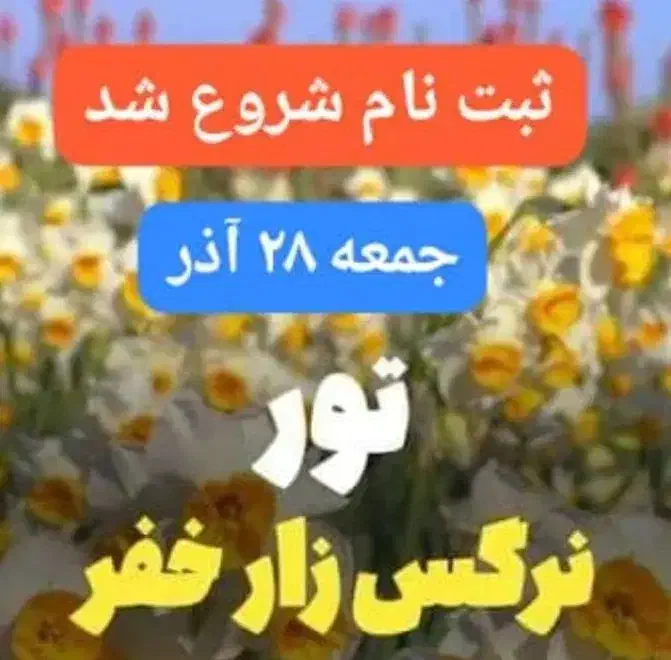 تور نرگس زار خفر ( همایون تور)|تور و چارتر|شیراز, حافظیه|دیوار