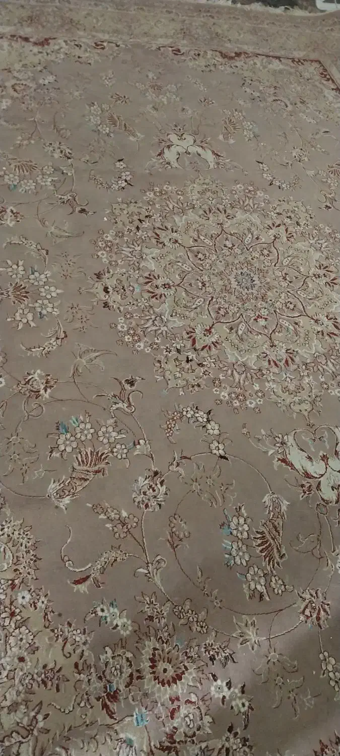 فرش|فرش|تربت جام, شهید نصرالهی|دیوار