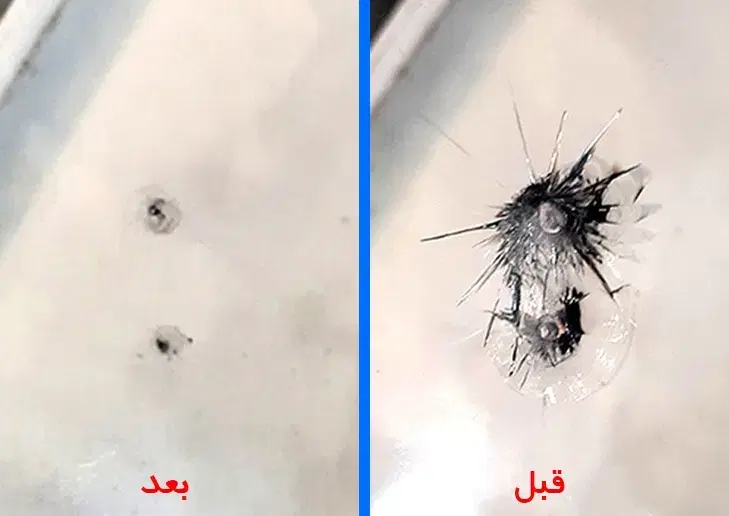 ترمیم سنگ خوردگی و ترک شیشه اتومبیل ثابت/سیار|خدمات خودرو و موتورسیکلت|تهران, اکباتان|دیوار