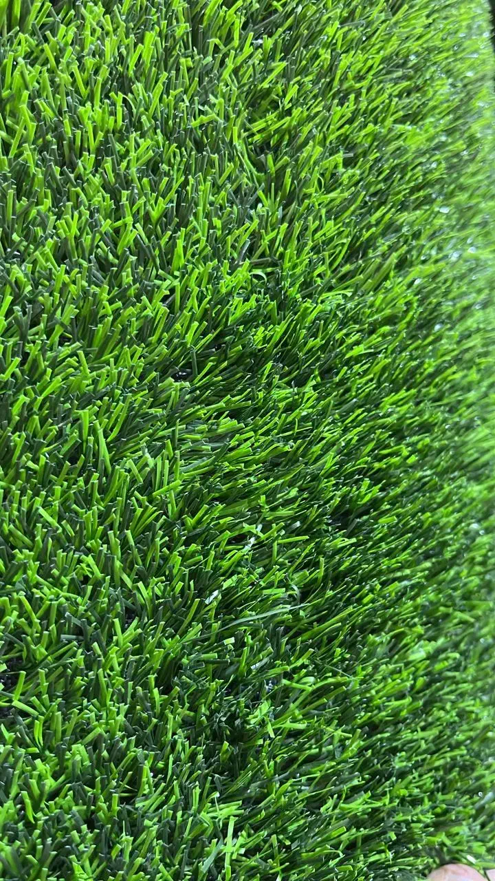 پخش انواع چمن ،فنس برگی رشته ای گرینوال سنگ|عمدهفروشی|رشت, امین الضرب|دیوار