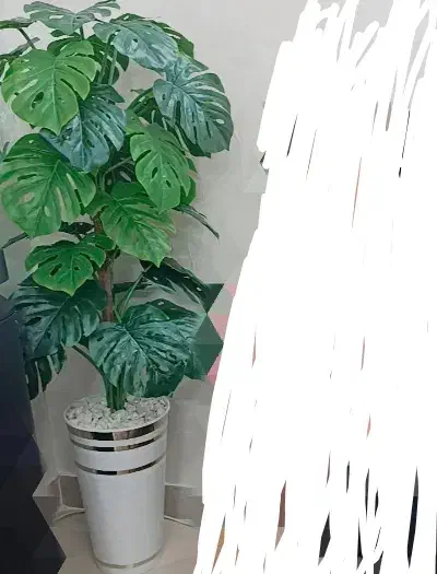 درختچه برگ انجیری|گل مصنوعی|قدس, شهرقدس|دیوار