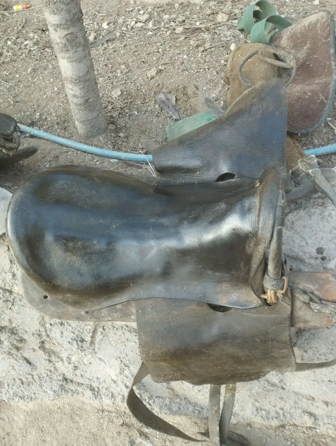 زین اسب قدیمی|اسب و تجهیزات اسب‌سواری|سرعین, |دیوار