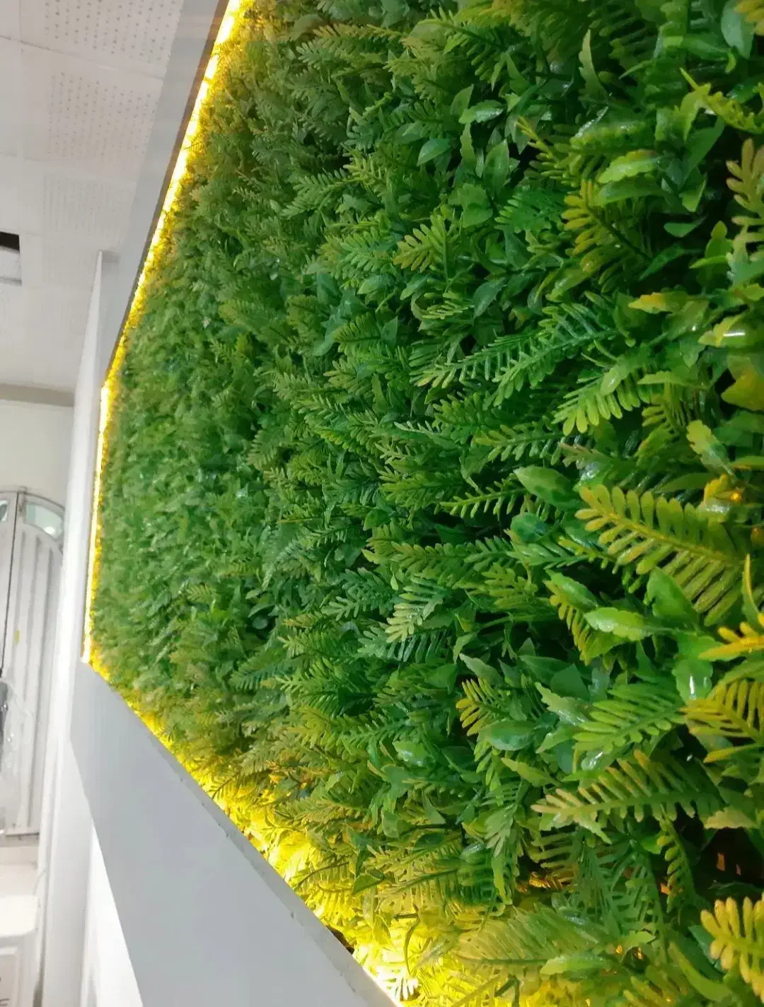 پخش و نصب گرینوال و دیوار سبز|گل مصنوعی|ارومیه, |دیوار