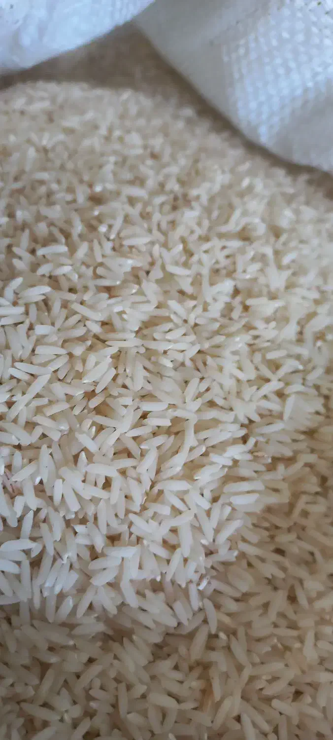 برنج هاشمی دره رود|خوردنی و آشامیدنی|دره رود, |دیوار