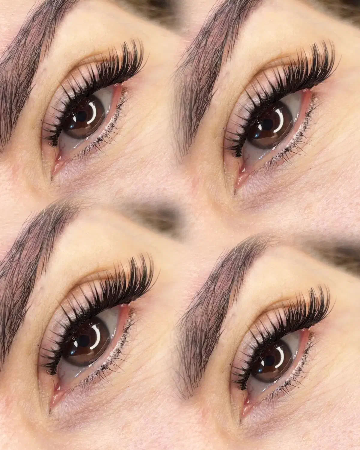 کاشت مژه|خدمات آرایشگری و زیبایی|رشت, نظری|دیوار