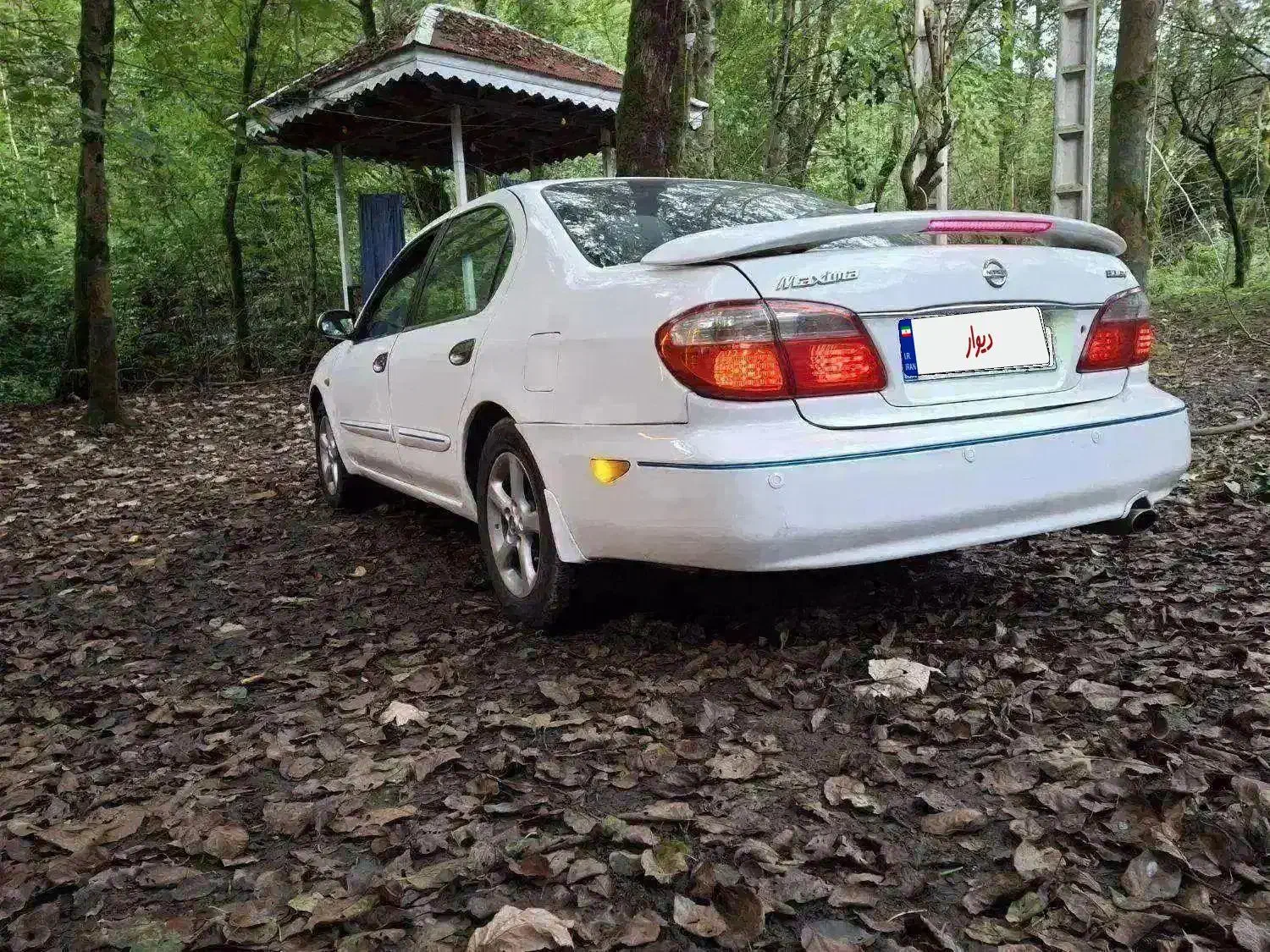 ماکسیما ۸۱ سفید|خودرو سواری و وانت|تهران, شیخ هادی|دیوار