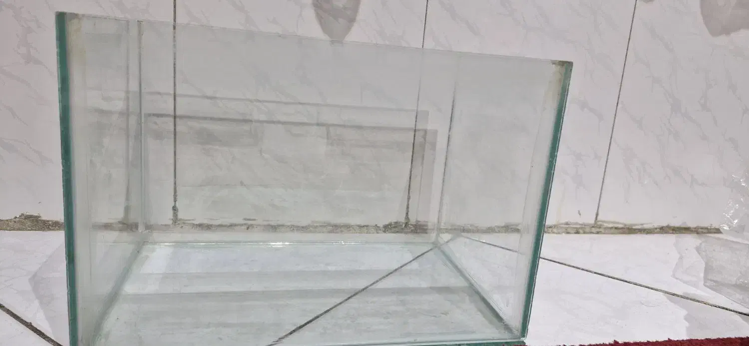 آکواریم کوچک|ماهی|تهران, افسریه شمالی|دیوار