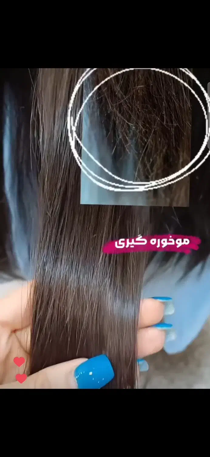 تخ.فیف موخوره گیری|خدمات آرایشگری و زیبایی|رشت, گلسار|دیوار