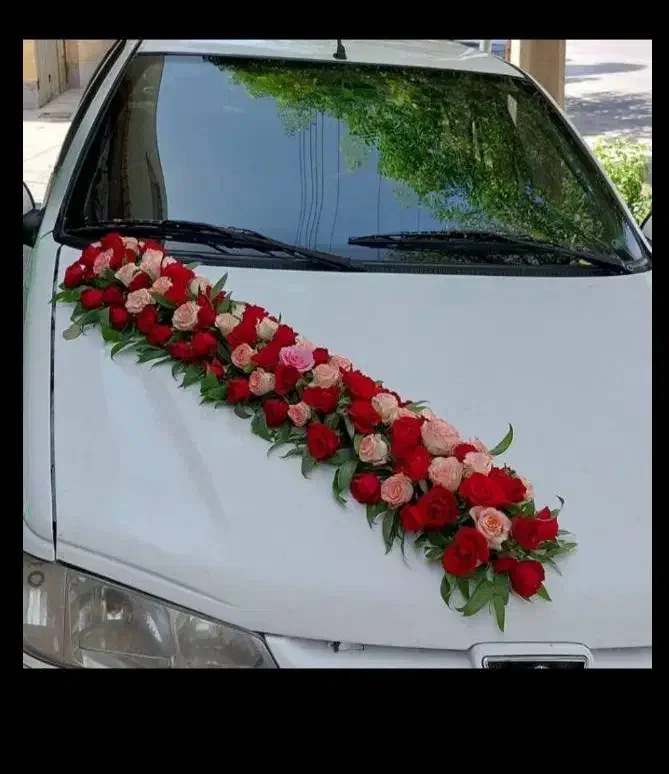 تزیین با گل رز طبیعی(کمترین قیمت رز در قصر گل)|گل و گیاه طبیعی|کرمان, |دیوار