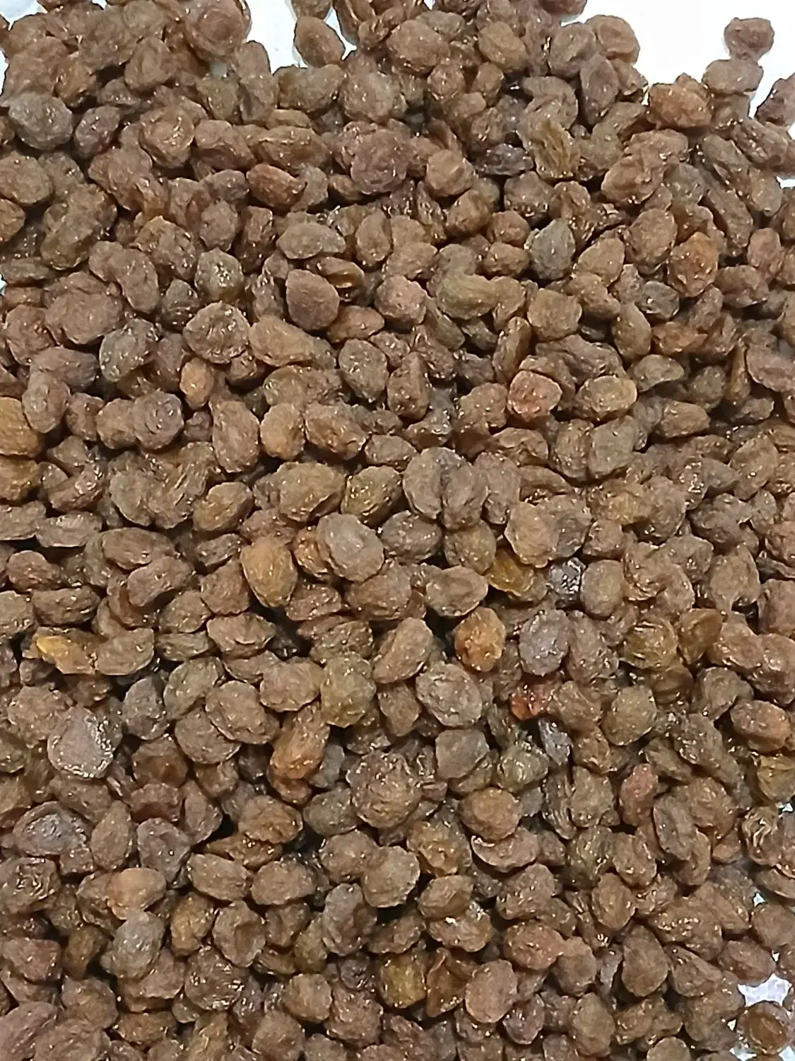 الو بخارا طبیعی بوانات|خوردنی و آشامیدنی|شیراز, کوشک میدان|دیوار