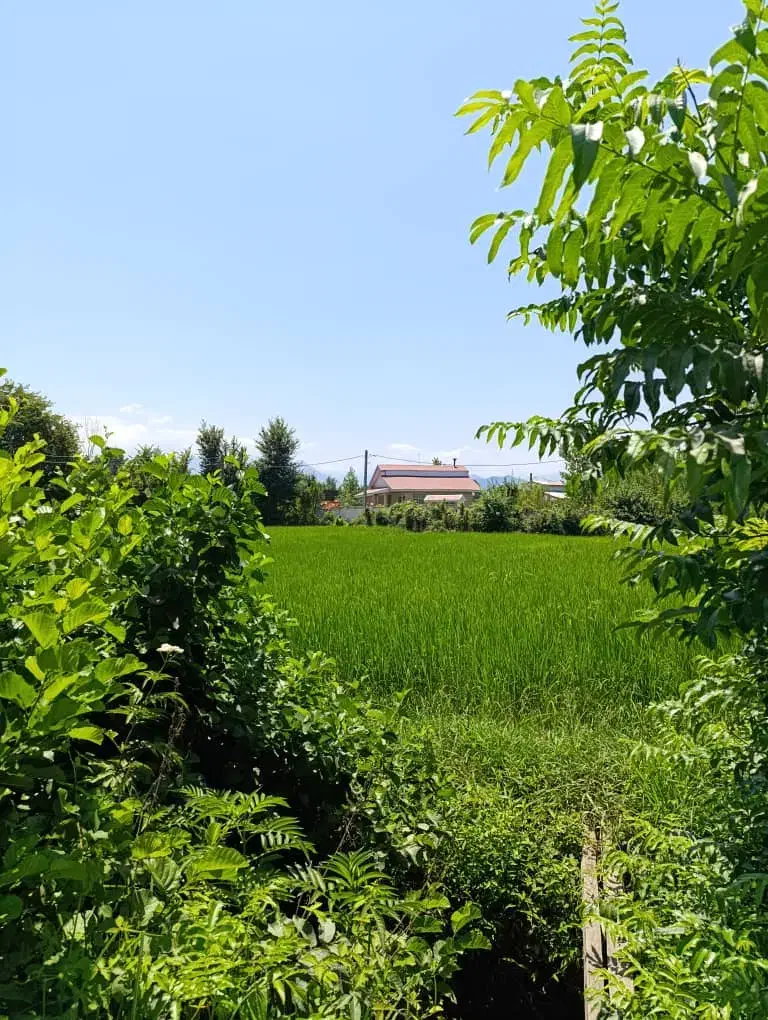 خونه ویلایی ۹۰۰متری/سند تک برگ/شفت/|فروش خانه و ویلا|احمدسرگوراب, |دیوار