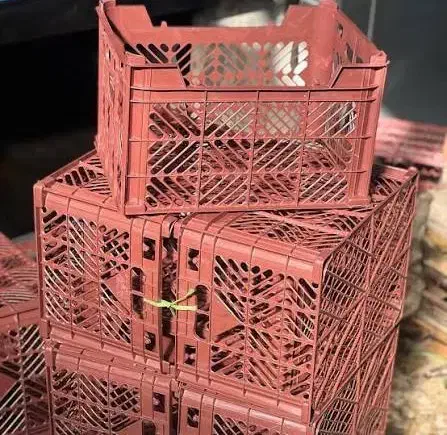 فروش کارخانه سبد/ دارای امتیاز سردخانه کیوی|فروش دفتر صنعتی، کشاورزی، تجاری|تالش, هشتپر|دیوار