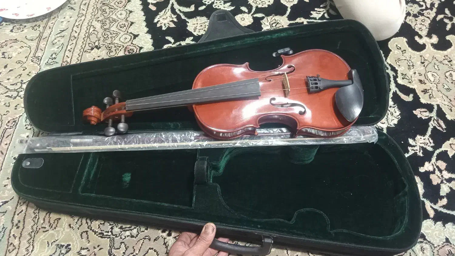 ویلن آک|ویولن|کلاله, |دیوار