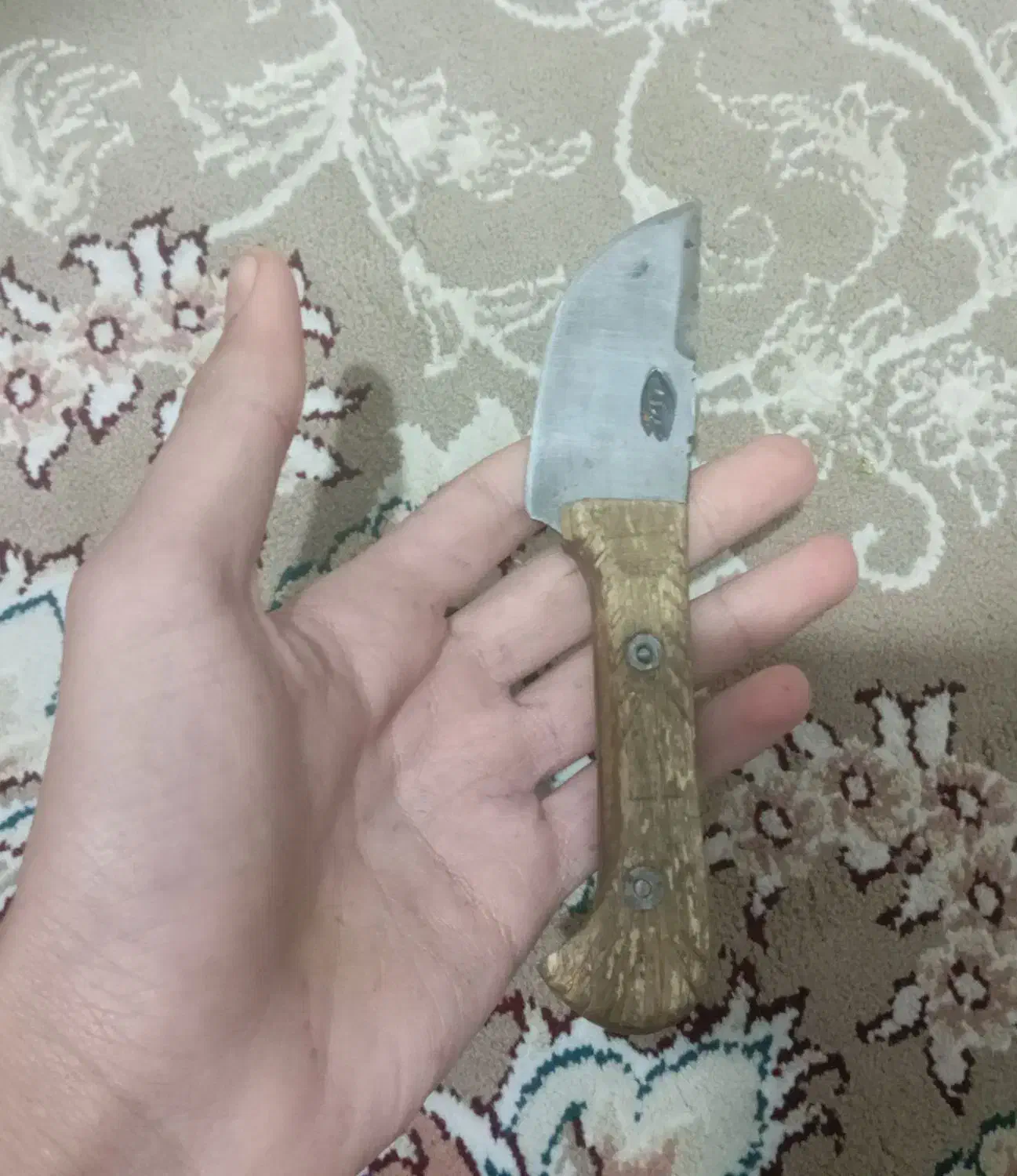 چاقو کارد|کوهنوردی و کمپینگ|بروجرد, |دیوار