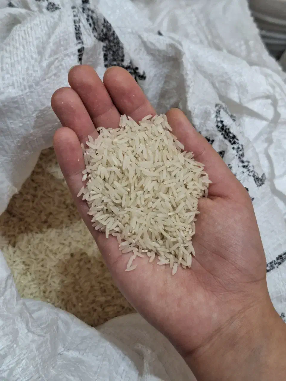 برنج دونوج ارگانیک بدون هیچ نوع سم و آفت کش|خوردنی و آشامیدنی|مشهد, سید رضی|دیوار