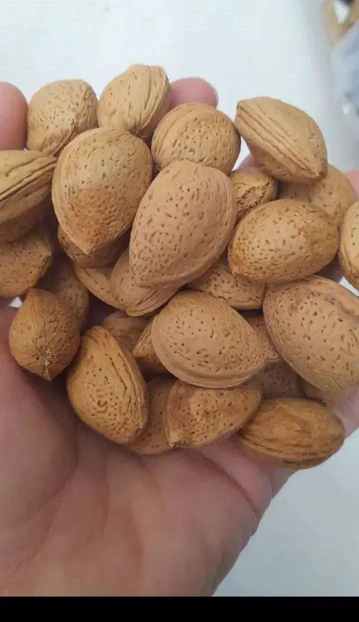 طبیعی و ارگانیک ابغوره بادام|خوردنی و آشامیدنی|مشهد, ثامن|دیوار