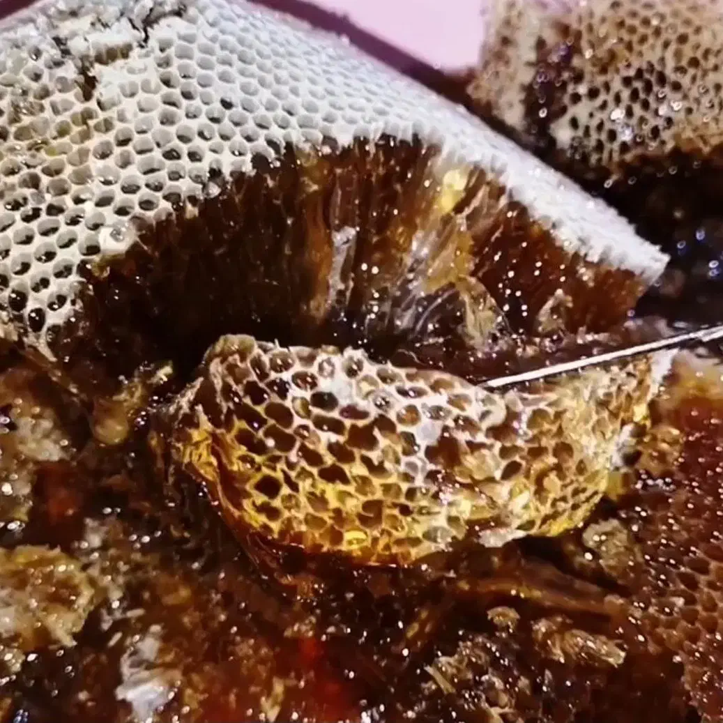 سردی مفاصل رماتیسم|خوردنی و آشامیدنی|تهران, یافت آباد شمالی|دیوار