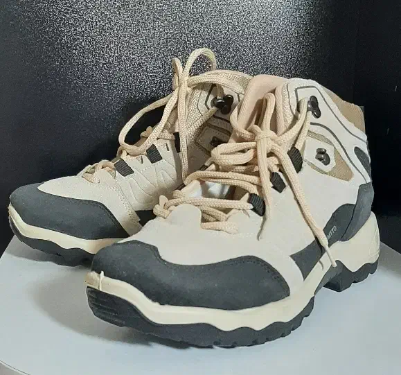 کفش|کیف، کفش، کمربند|اندیشه, اندیشه فاز ۱|دیوار