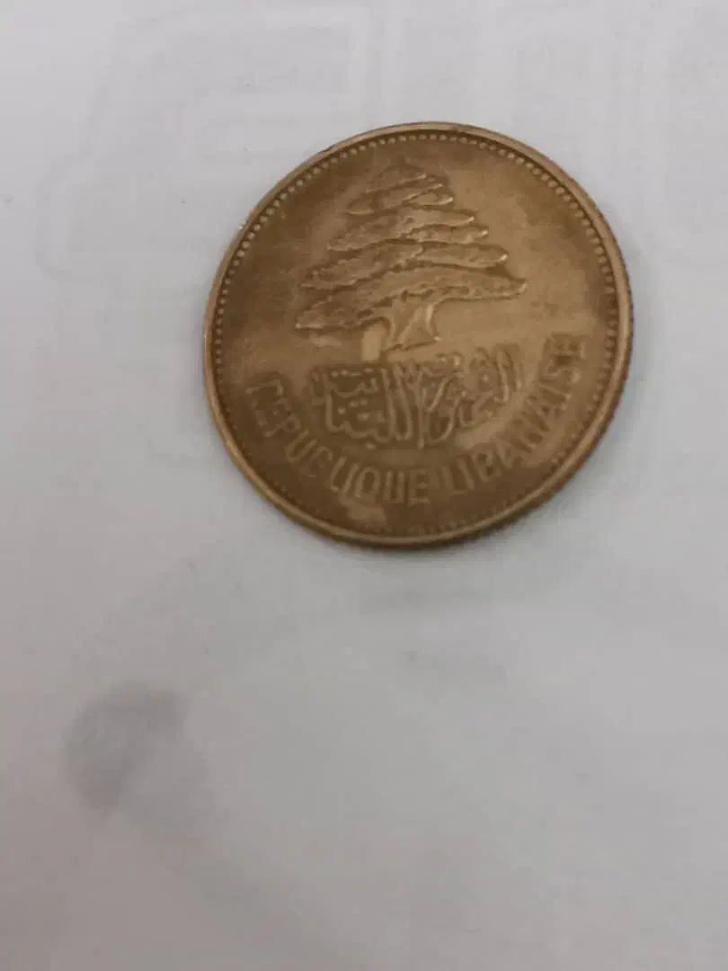 ۲۵ قروش لبنان ۱۹۵۲|کلکسیون سکه، تمبر، اسکناس|شیراز, انجیر|دیوار