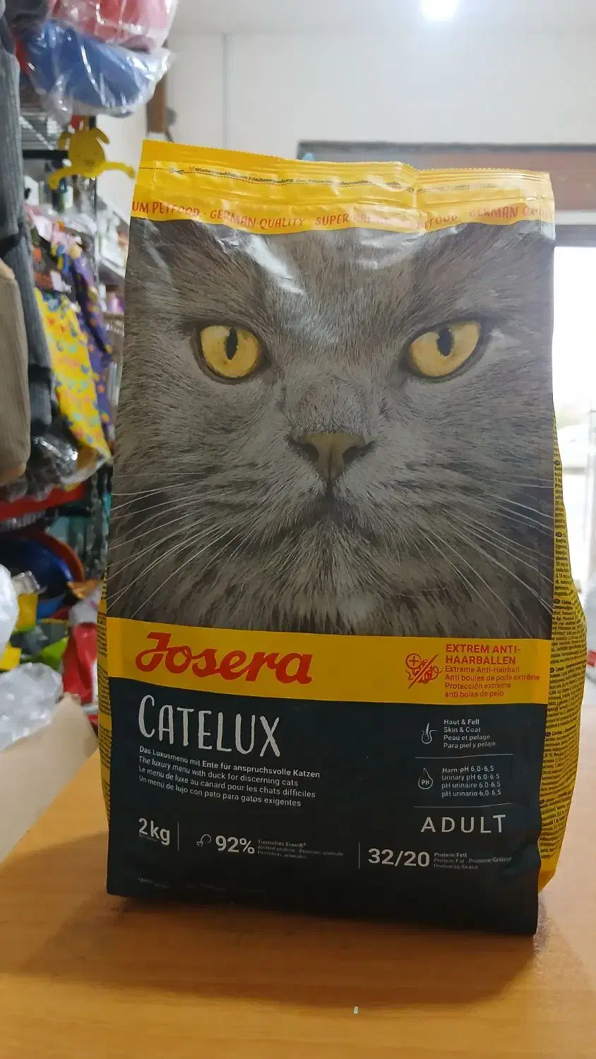 غذای گربه ۲ کیلویی کتلوکس|گربه|دالخانی, |دیوار