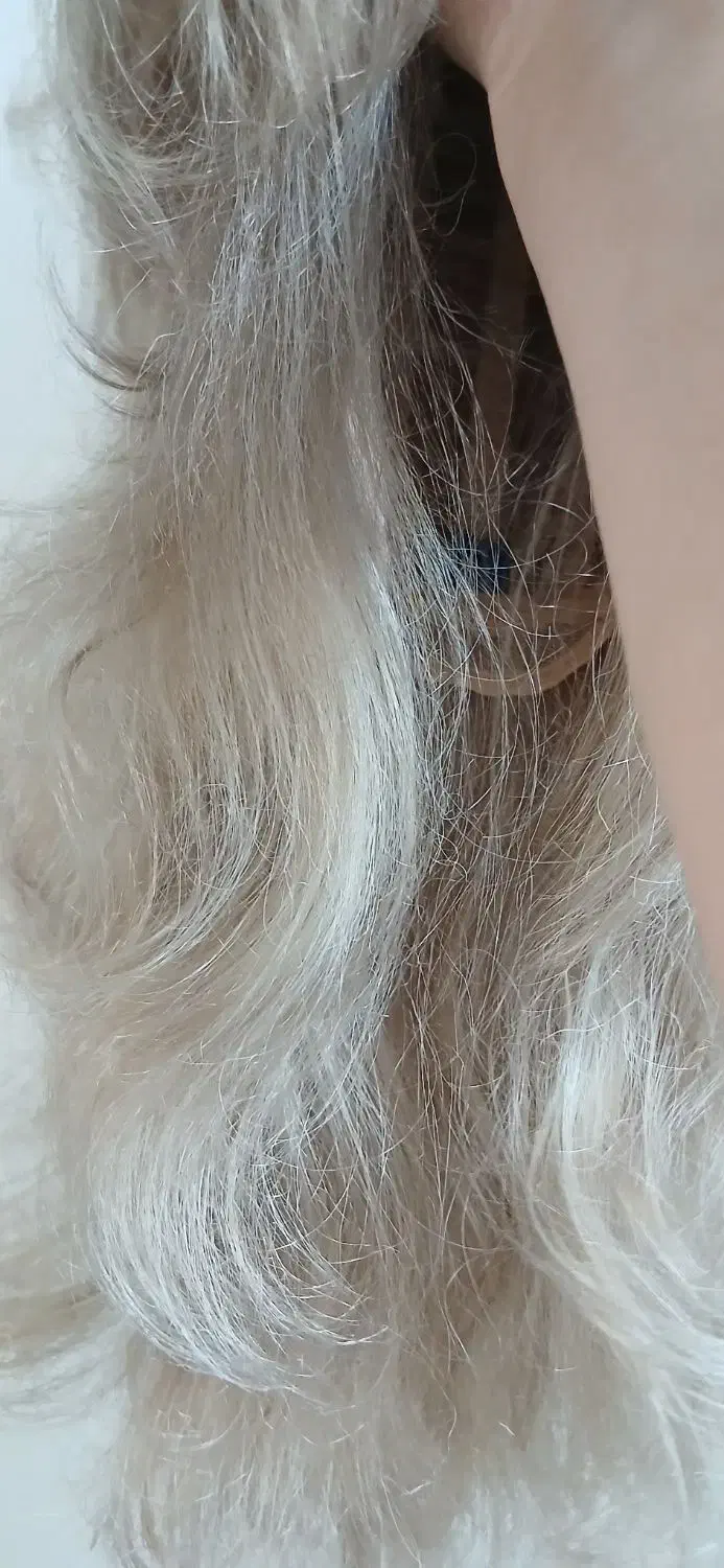 کلاه گیس بلوند و کلیپس مویی|آرایشی، بهداشتی، درمانی|تهران, باغ فیض|دیوار