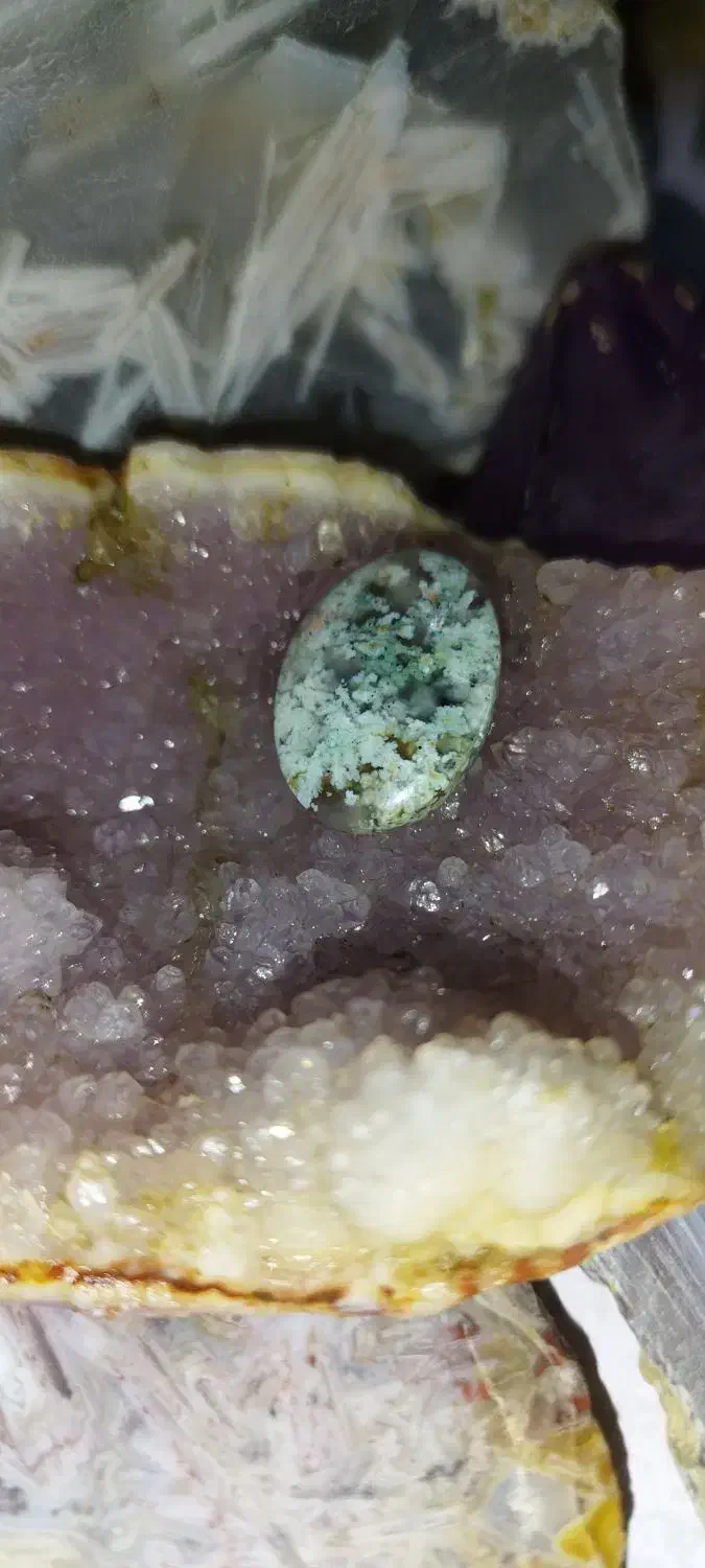 شجر سبز|کلکسیون اشیاء عتیقه|بیرجند, |دیوار