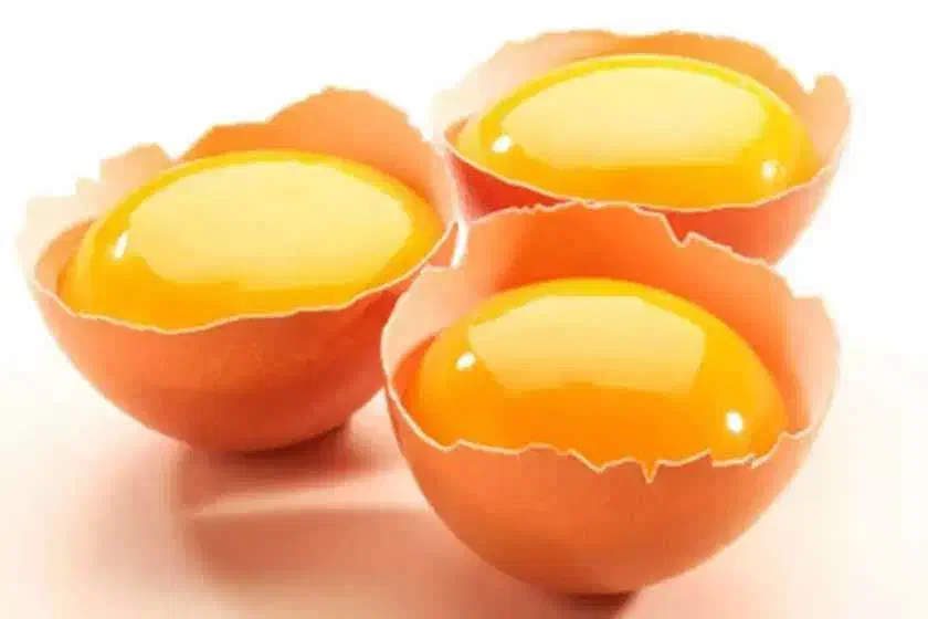 سفیده تخم‌مرغ|خوردنی و آشامیدنی|کرمان, |دیوار