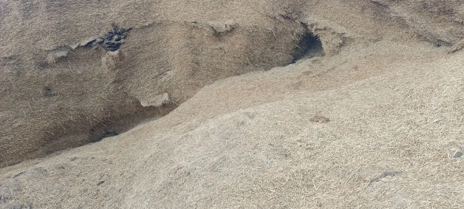 کاه گندم کاه کوب 100تن  فروشی|عمده‌فروشی|ارشق, |دیوار