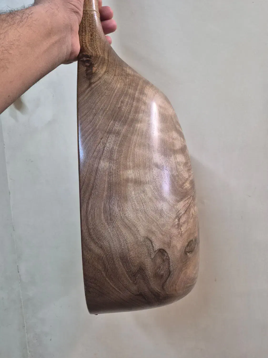 تنبور مهرداد خوش خوان و زیبا|سازهای سنتی|خمینیشهر, |دیوار