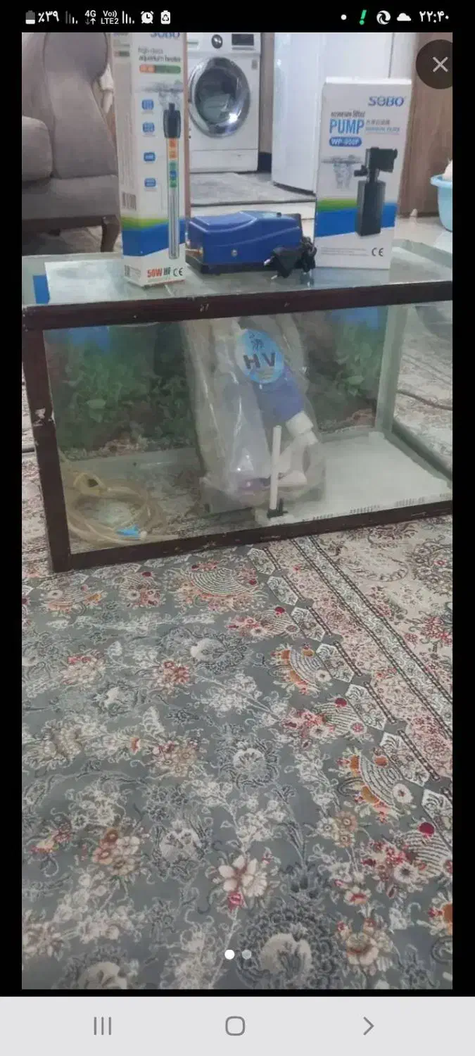 اکواریوم با کلیه لوازم|ماهی|تهران, شادآباد|دیوار