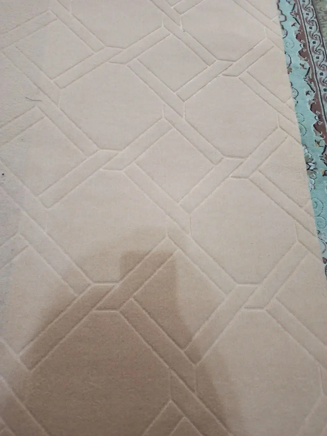 موکت|موکت|سراب, |دیوار