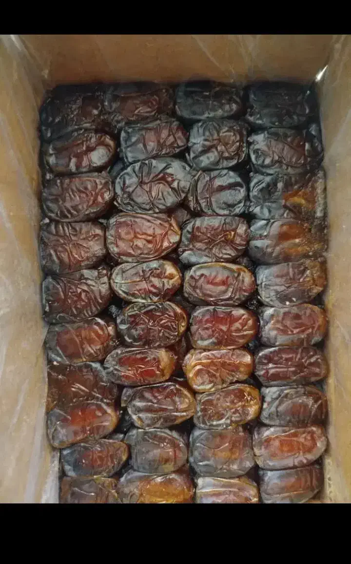 خرما کبکاک|خوردنی و آشامیدنی|شیراز, گلکوب|دیوار