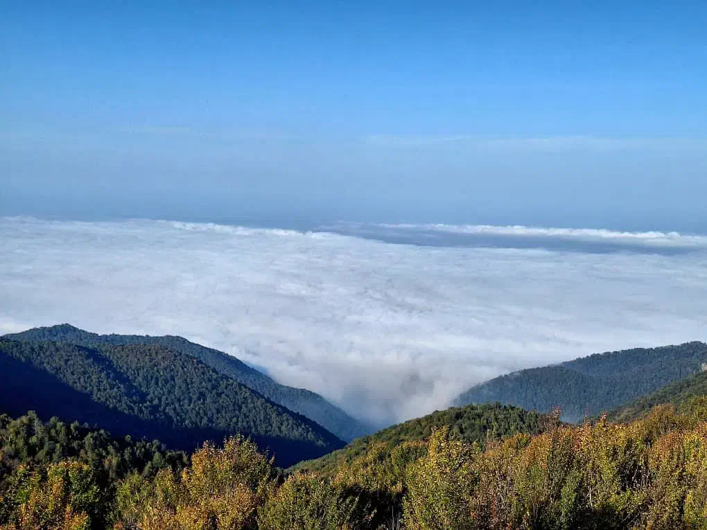 مشورت بدین|فعالیت داوطلبانه تحقیقاتی|قم, پردیسان|دیوار