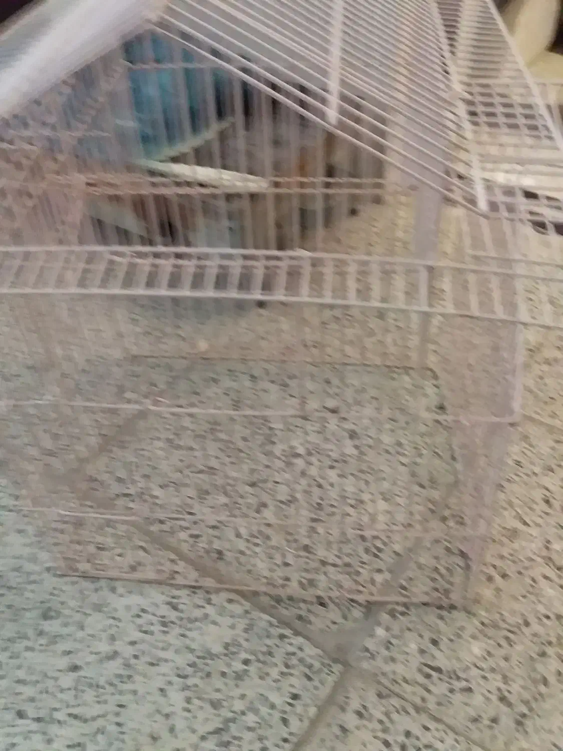 قفس قیمت 400|لوازم جانبی حیوانات|سنندج, |دیوار