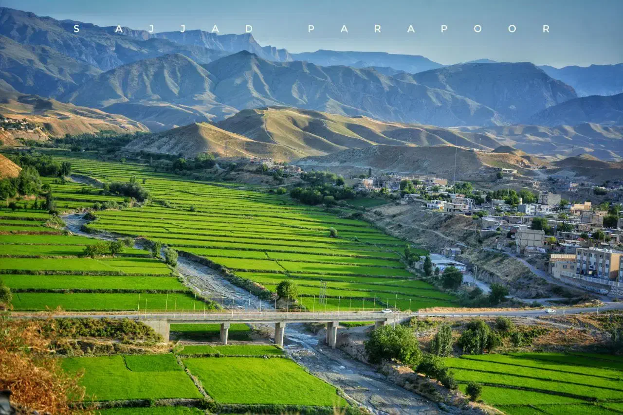 برنجی ز دامنه‌ی رشته کوه هزار مسجدخراسان رضوی لاین|خوردنی و آشامیدنی|تهران, ایران|دیوار