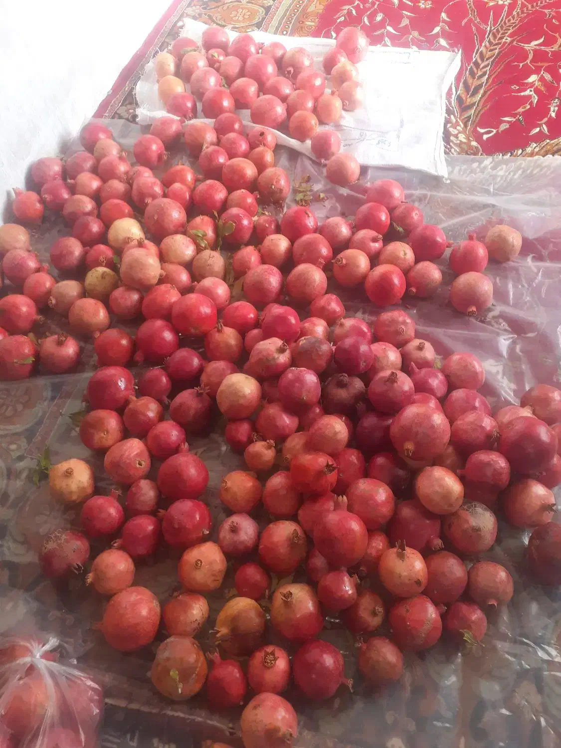 انار درجه یک دارم|حراج|دلیجان, |دیوار