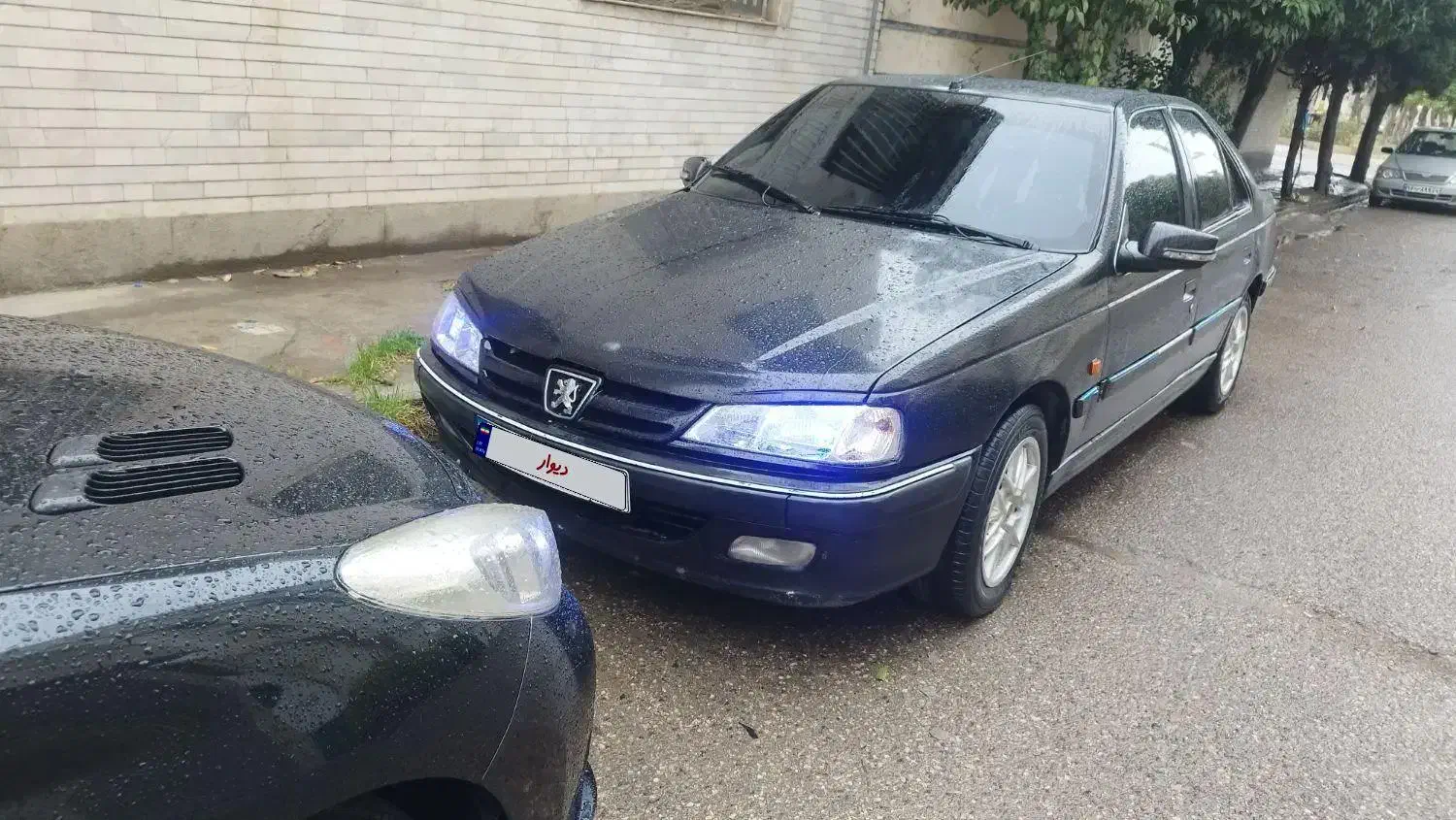 پژو فرانسه|خودرو سواری و وانت|گنبد کاووس, |دیوار