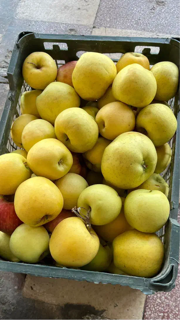 سیب|خوردنی و آشامیدنی|شیراز, شهرک مهدیآباد|دیوار