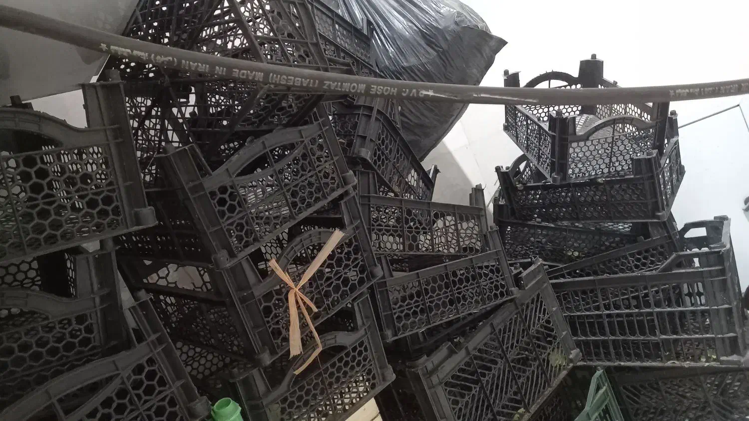 سبد صندوق|ظروف نگهدارنده، پلاستیکی، یک‌بارمصرف|برخوار, |دیوار