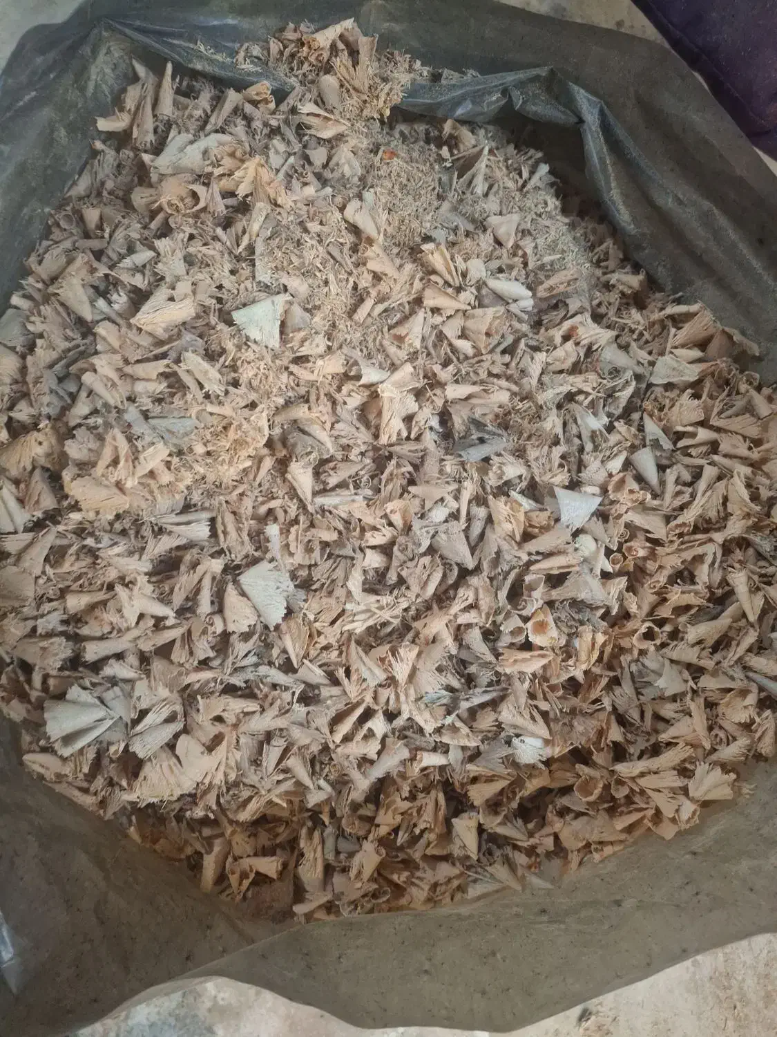 پوشال و خاک اره چوب طبیعی|عمده‌فروشی|چهارباغ, |دیوار