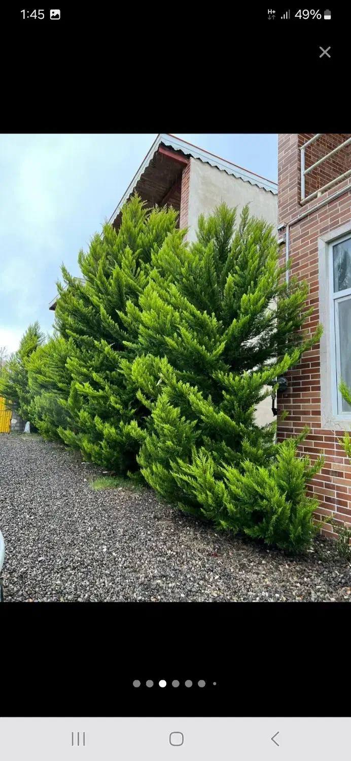 اجاره ویلای سه خوابه لوکس بندر کیاشهر|اجارهٔ کوتاه‌مدت ویلا و باغ|کیاشهر, |دیوار