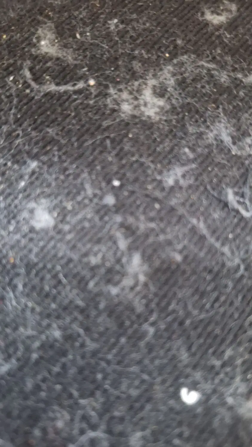 واحد ۸۱متری در ۲۲بهمن شمال|اجارهٔ آپارتمان|نظرآباد, نظرآباد|دیوار